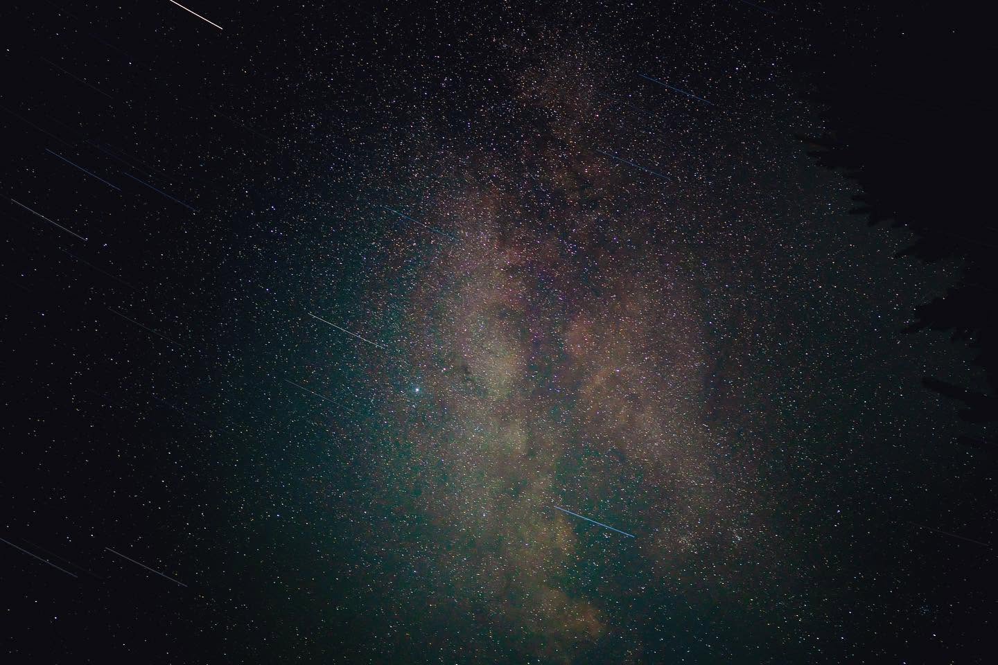 Milky Way over treeline